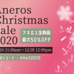【割引！】「Aneros Christmas Sale 2020」アネロスセール！